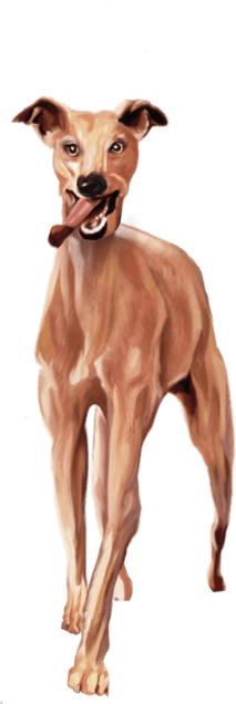 Small illustration of a brown greyhound