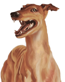 Small illustration of a brown greyhound